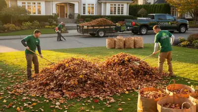 Professional yard crew performing fall leaf cleanup on residential lawn in Bellevue, WA