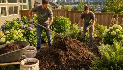 Organic soil amendment and compost application by landscapers in Bellevue, WA for healthy, natural lawns
